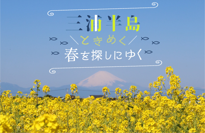 【2泊3日】三浦半島 ときめく春を探しに…