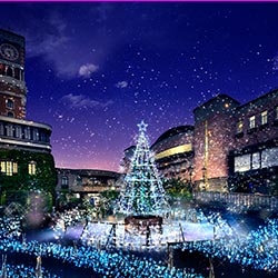 白い恋人イルミネーション　『Bright…