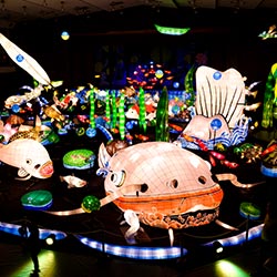 第20回うれしのあったかまつり 第20回うれしのあったかまつり