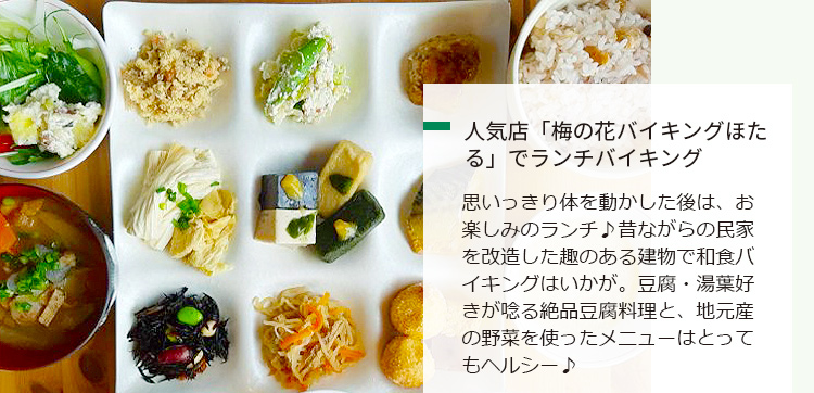 秋の行楽は佐賀がオススメ Spring Japan 秋の行楽は佐賀がオススメ Spring Japan