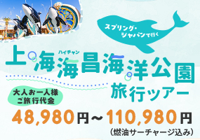 SPRING JAPAN公式サイト - 格安航空券の予約検索