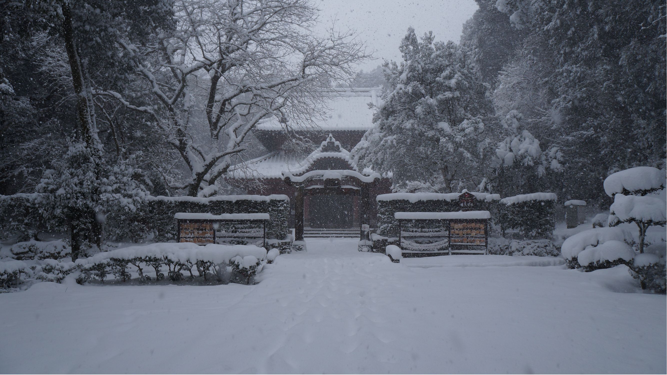 雪の中の多久聖廟